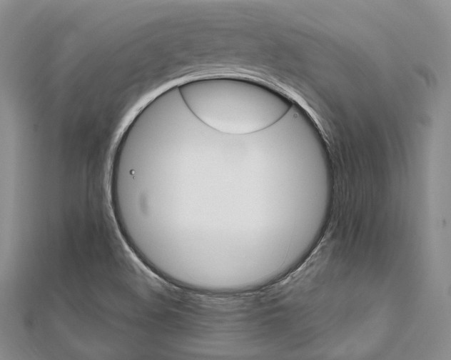 X0000112011508200908031010