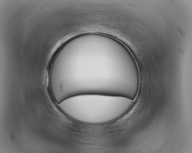 X0000112011509200908031010