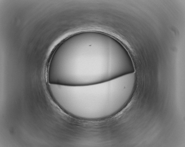X0000112011510200908031010