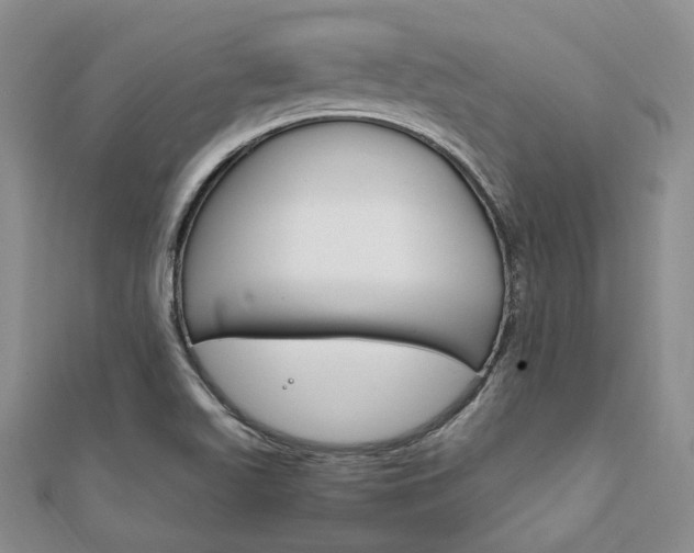 X0000112011511200908031010