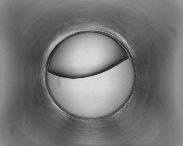 X0000112011512200908031010