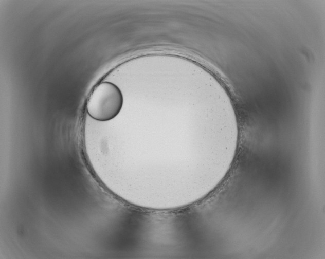 X0000112011514200908031011