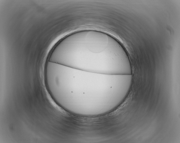 X0000112011515200908031011