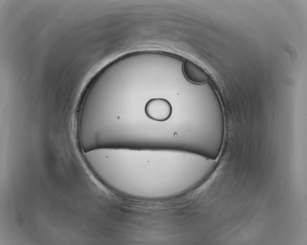 X0000112011517200908031011
