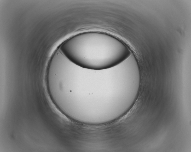 X0000112011518200908031011