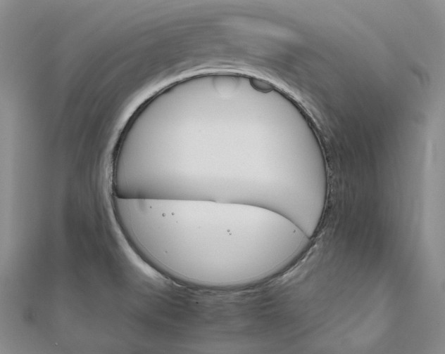 X0000112011519200908031011