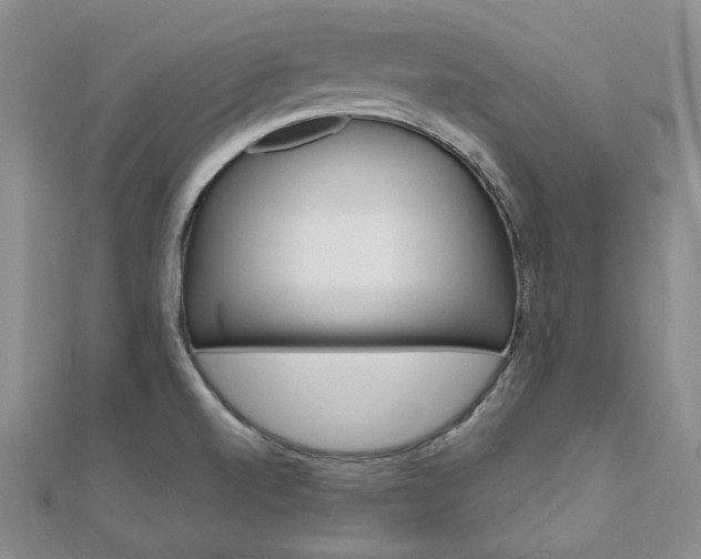 X0000112011520200908031011