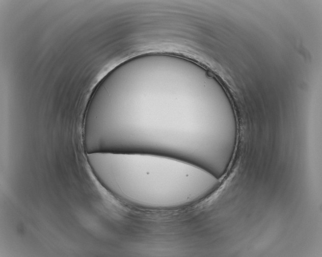 X0000112011521200908031011