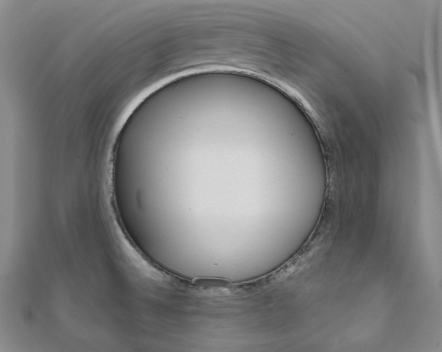 X0000112011524200908031011