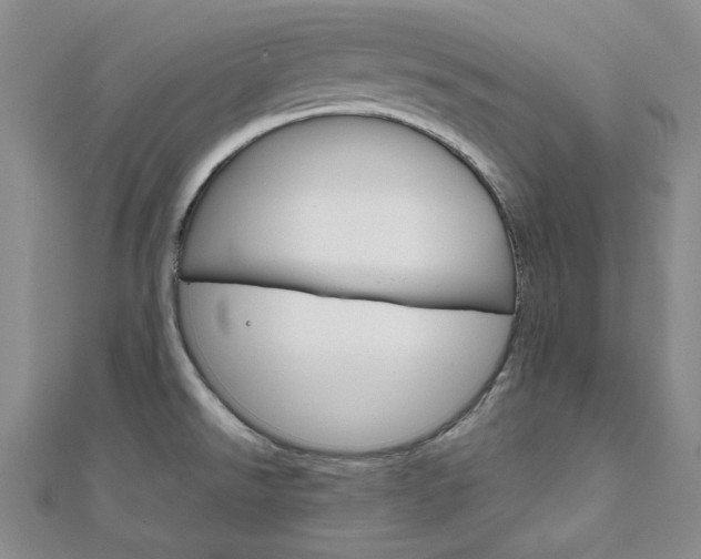 X0000112011526200908031011