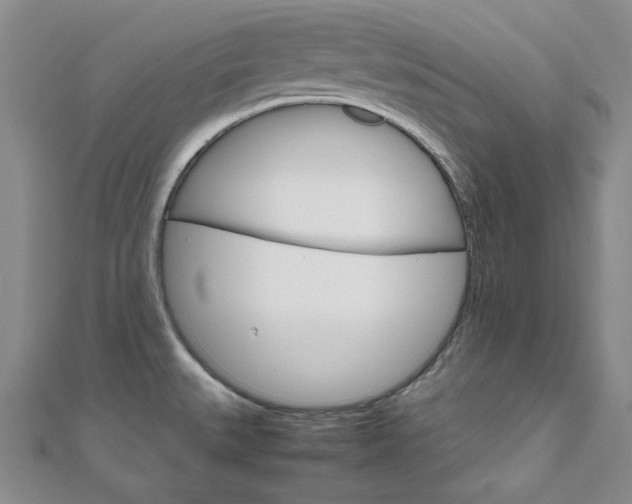X0000112011527200908031011