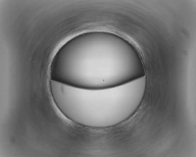 X0000112011528200908031011