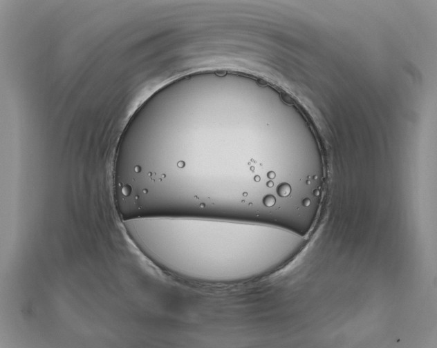 X0000112011529200908031011