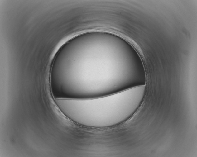 X0000112011530200908031011