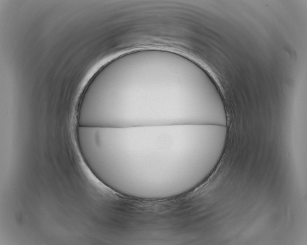 X0000112011531200908031011