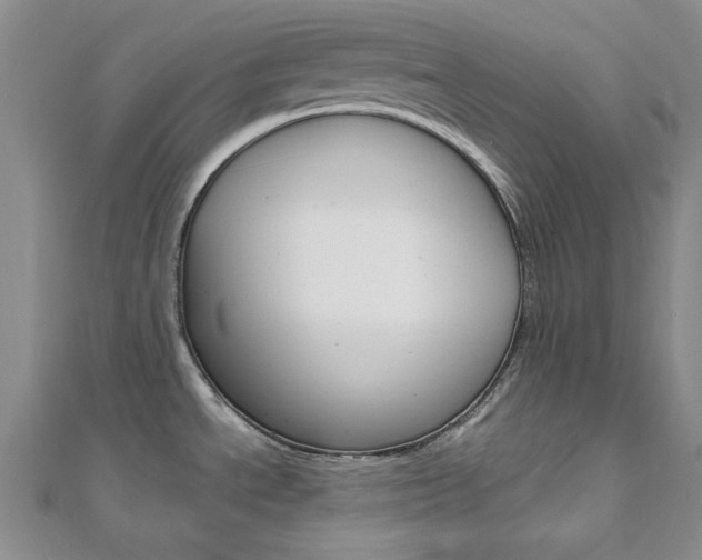 X0000112011534200908031011