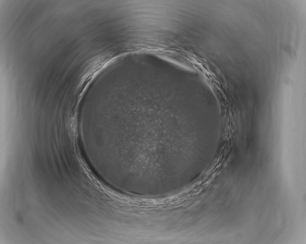 X0000112010002200908031316