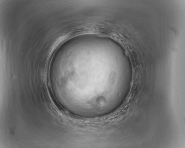 X0000112010003200908031316