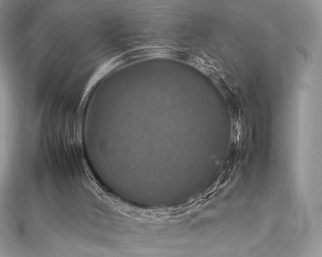 X0000112010004200908031316