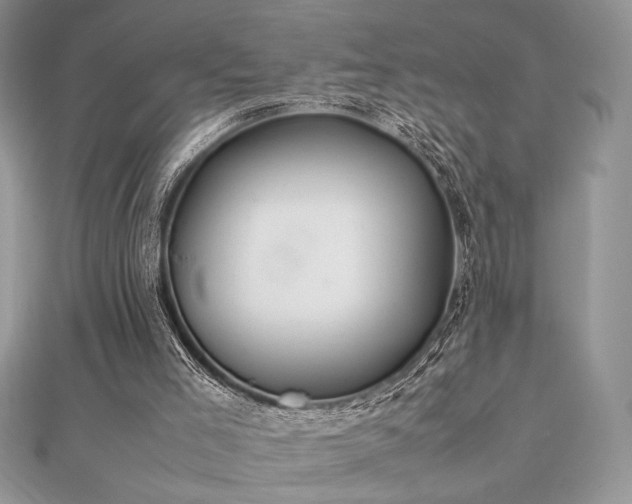 X0000112010005200908031316