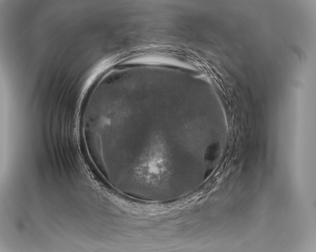 X0000112010006200908031316