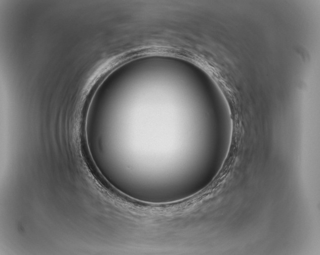 X0000112010007200908031316