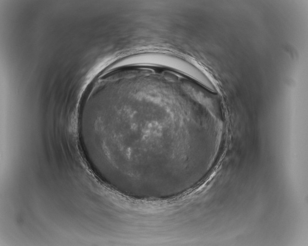 X0000112010008200908031316