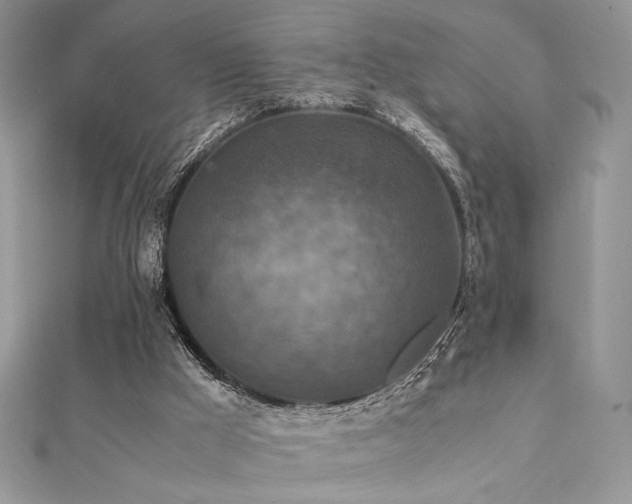 X0000112010009200908031316