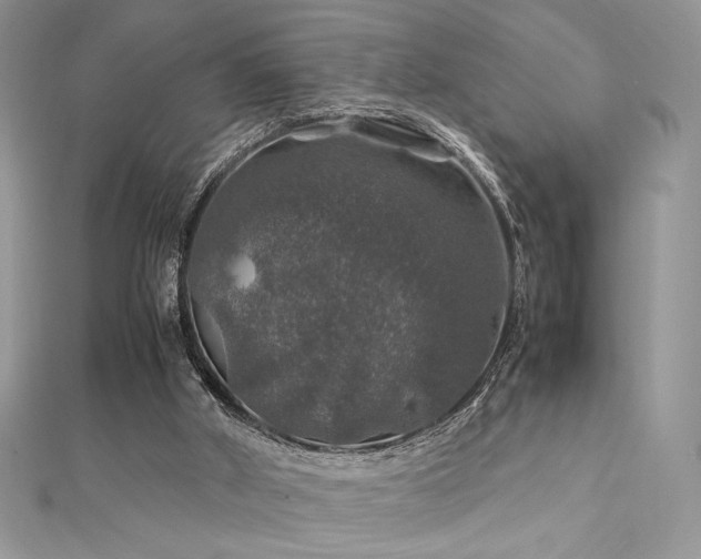 X0000112010010200908031316