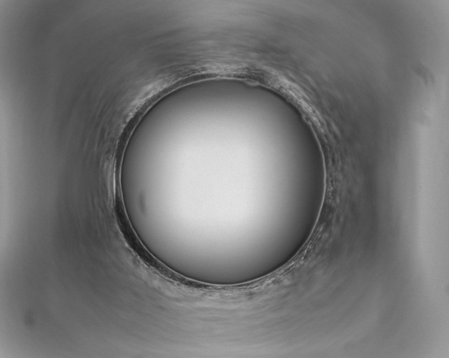 X0000112010011200908031316