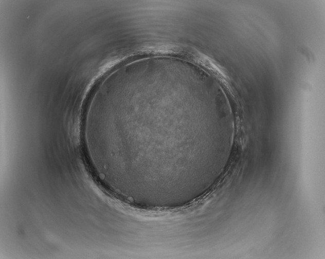 X0000112010012200908031316