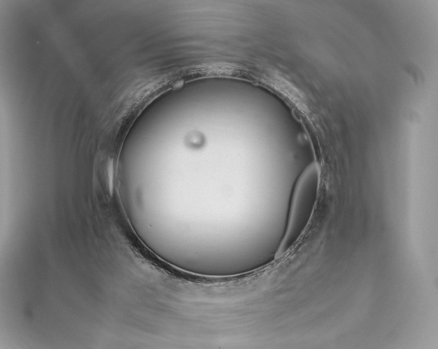 X0000112010013200908031316