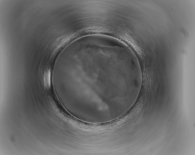 X0000112010014200908031316