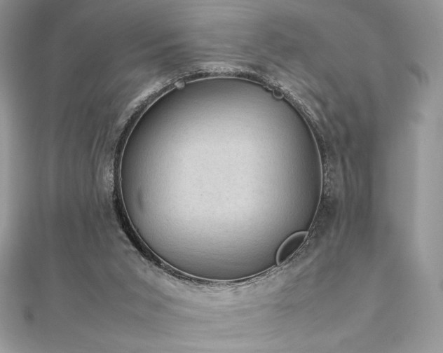 X0000112010015200908031316