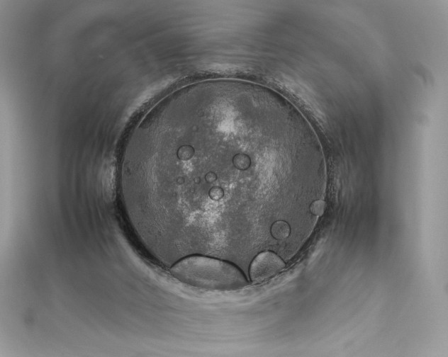 X0000112010016200908031316