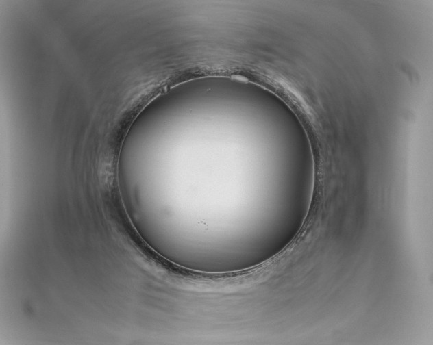 X0000112010017200908031316