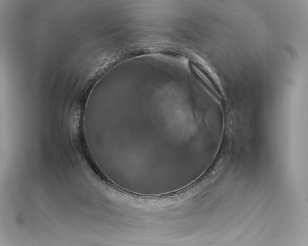 X0000112010018200908031316