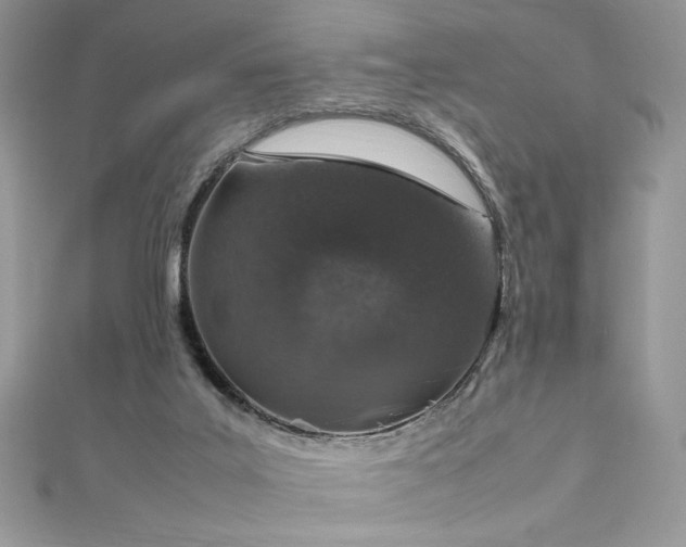 X0000112010019200908031316