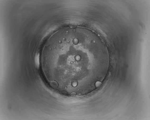 X0000112010020200908031316