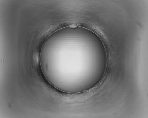 X0000112010021200908031316