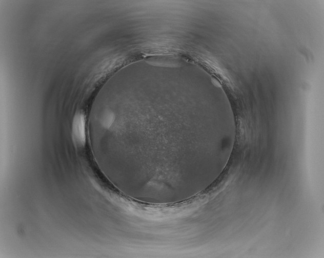 X0000112010022200908031316