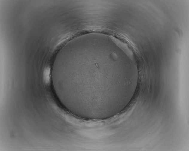 X0000112010024200908031316