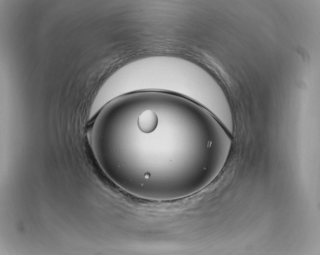 X0000112010025200908031316