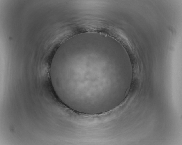 X0000112010029200908031316