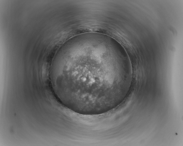 X0000112010030200908031316