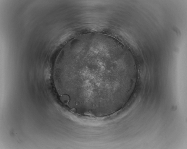 X0000112010032200908031316