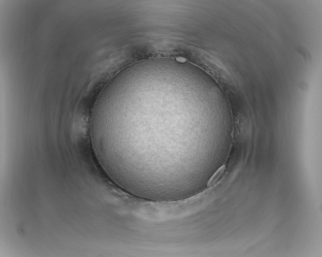 X0000112010033200908031316