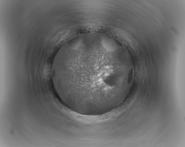 X0000112010034200908031316