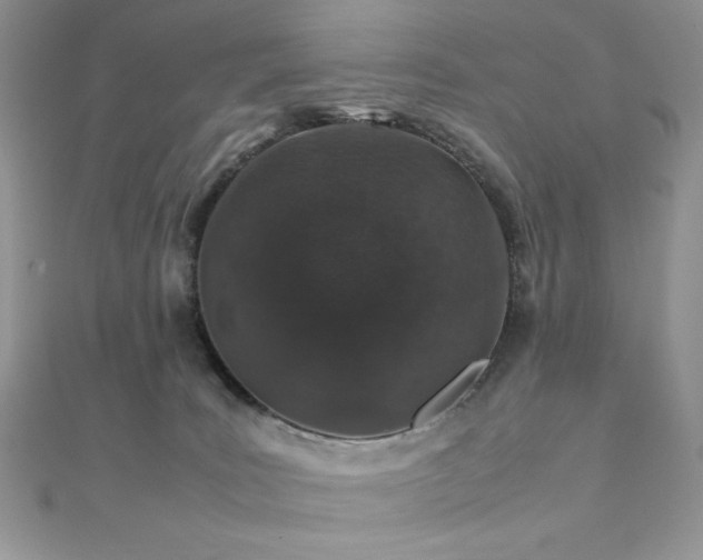 X0000112010035200908031316