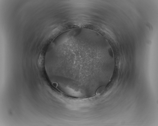 X0000112010036200908031316